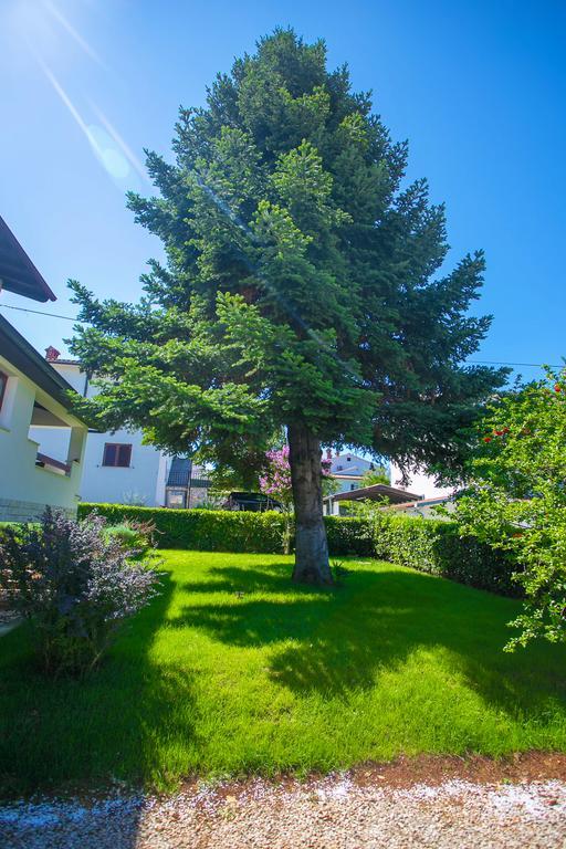 Apartment Pinia Porec Ngoại thất bức ảnh